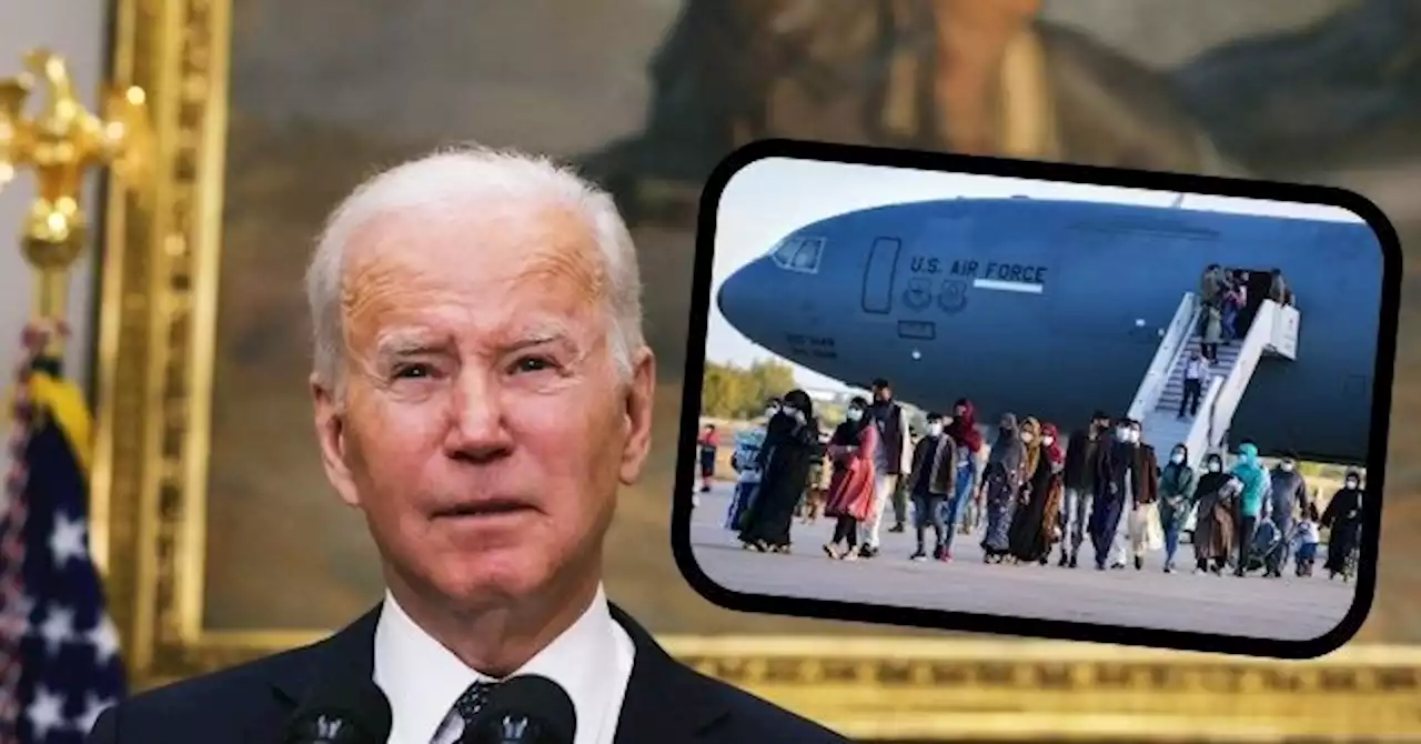 DOD: Biden's Unvetted Afghans with 'Security Concerns' Disappear in U.S.