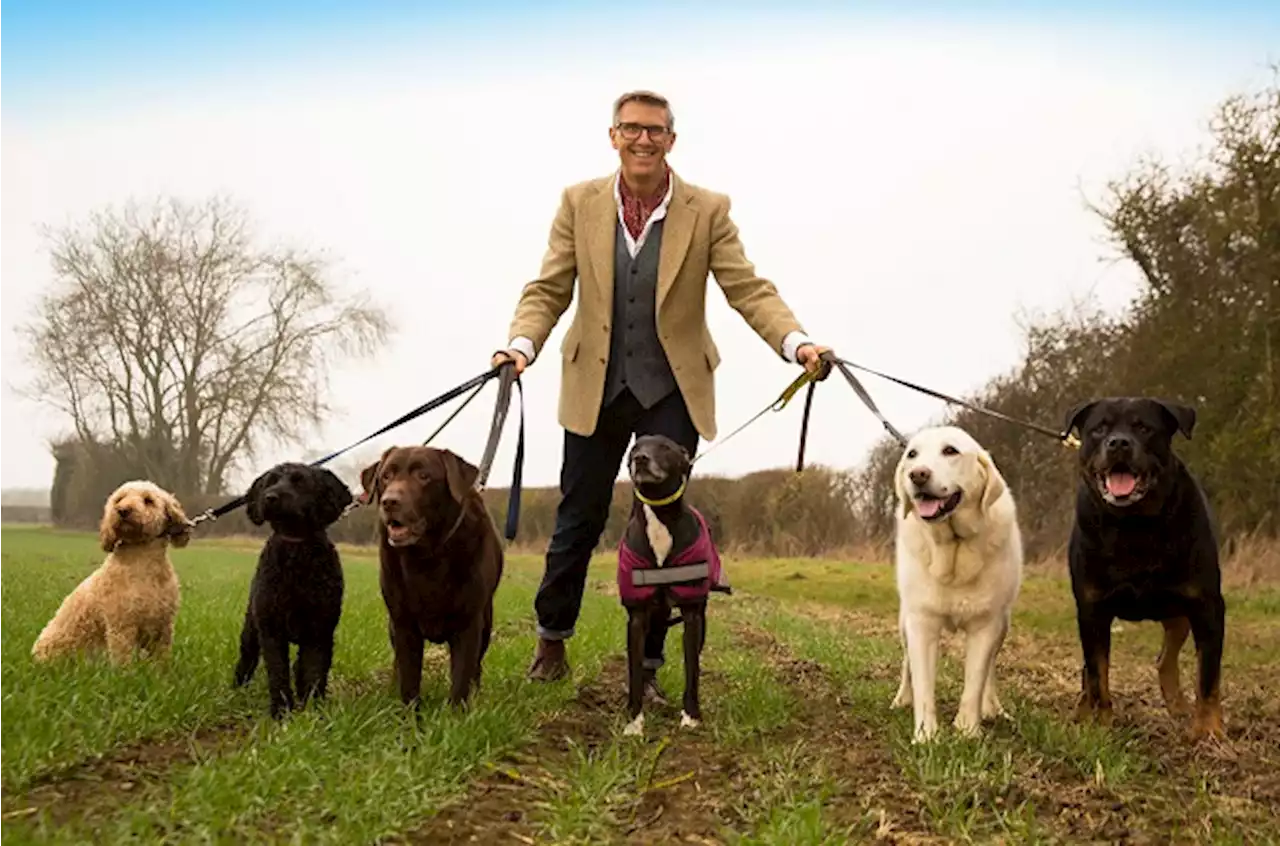 Dogs Behaving (Very) Badly | Britain's 'Dog Father' is now on SA TV | Channel