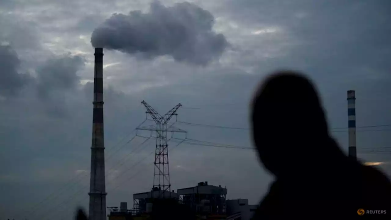 China's daily output of coal rebounds to over 12 million tonnes