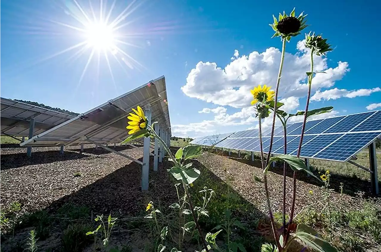 Renewable Energy: Zero Blackouts, Millions Of New Jobs -- Mark Z. Jacobson