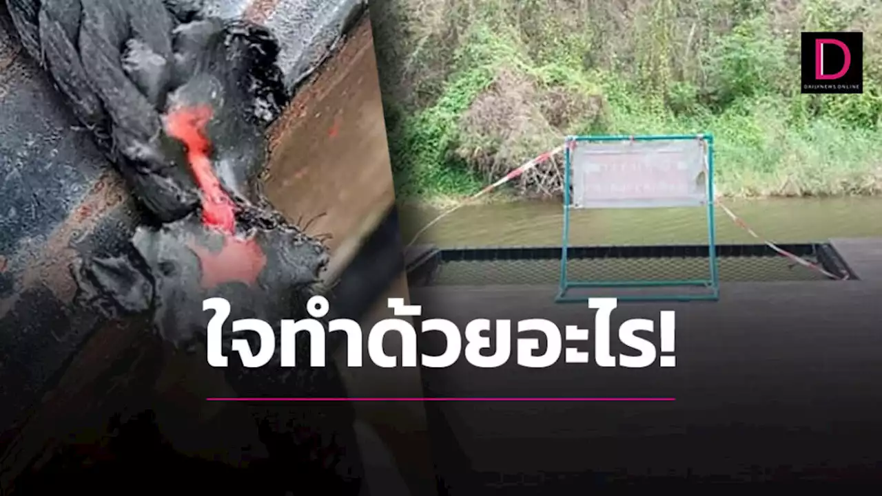 ใจทำด้วยอะไร!ทัวริสต์มือบอน ไฟลนเชือกเปลตาข่ายจนต้องสั่งปิด | เดลินิวส์
