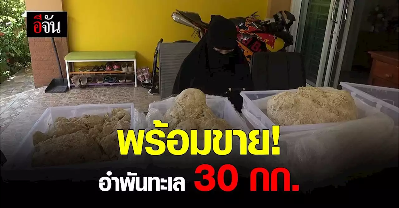 สาวดวงดี! เจออำพันทะเลตอนเดินเล่นชายหาด