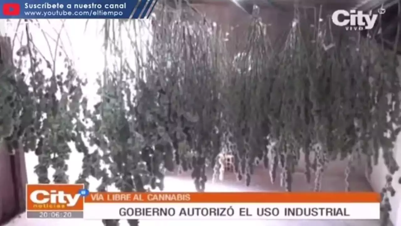 Gobierno expide nueva normativa para uso industrial del cannabis