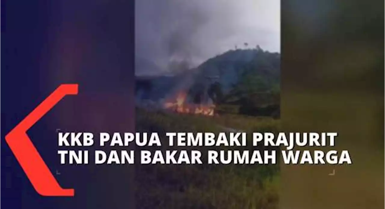 KKB Papua Tembaki Prajurit TNI dan Bakar Bangunan di Permukiman Warga