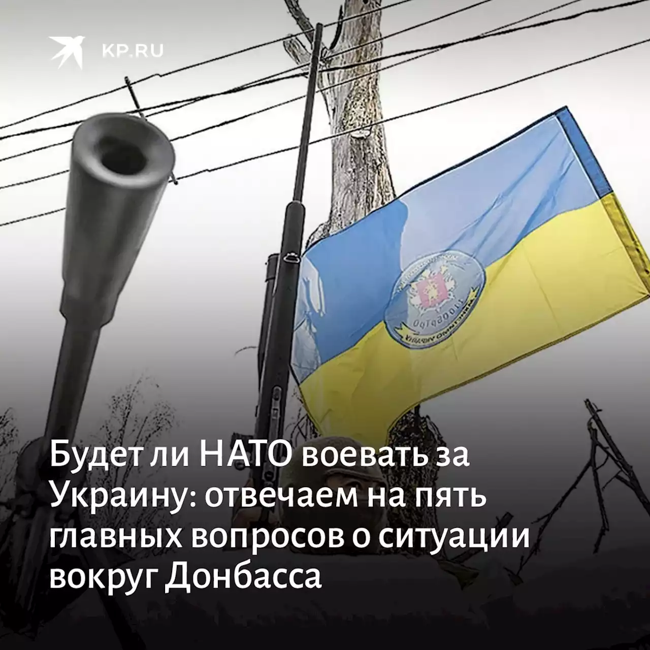 Будет ли НАТО воевать за Украину: отвечаем на пять главных вопросов о ситуации вокруг Донбасса