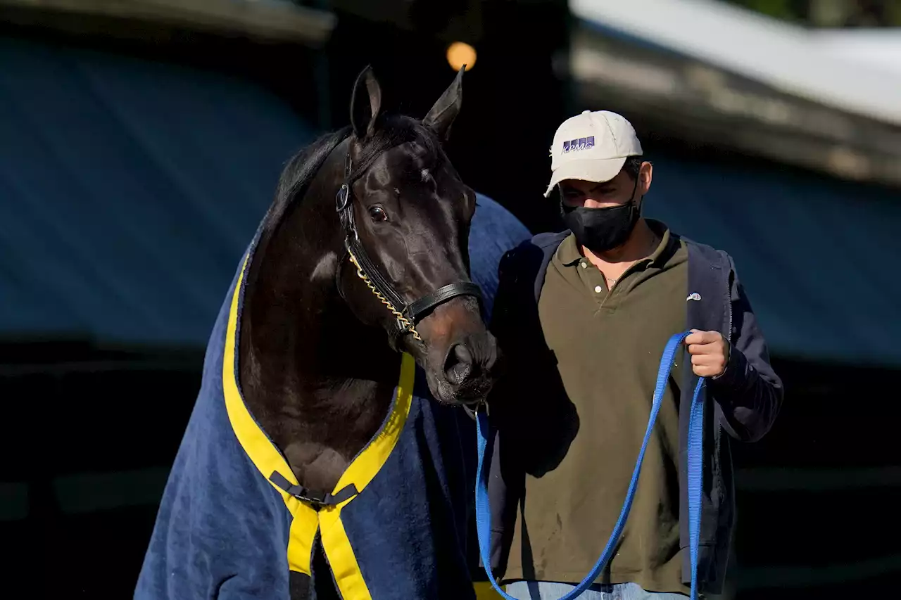 Medina Spirit Stripped of Kentucky Derby Victory