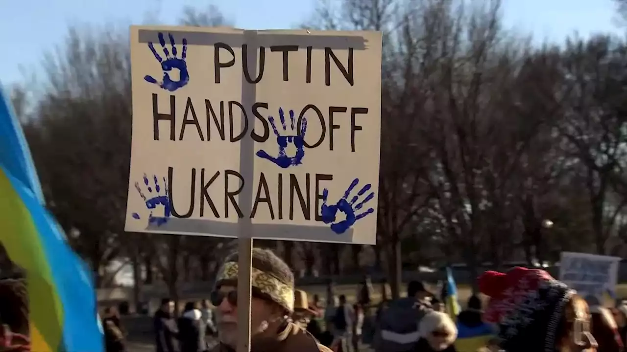 Protesters Gather in DC to Support Ukraine