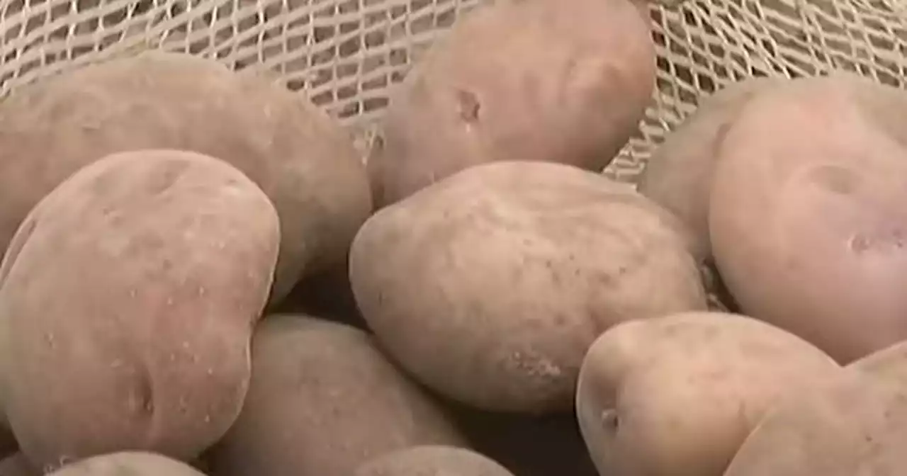 Ahora comer papa se volvió un lujo, el precio está por la nubes