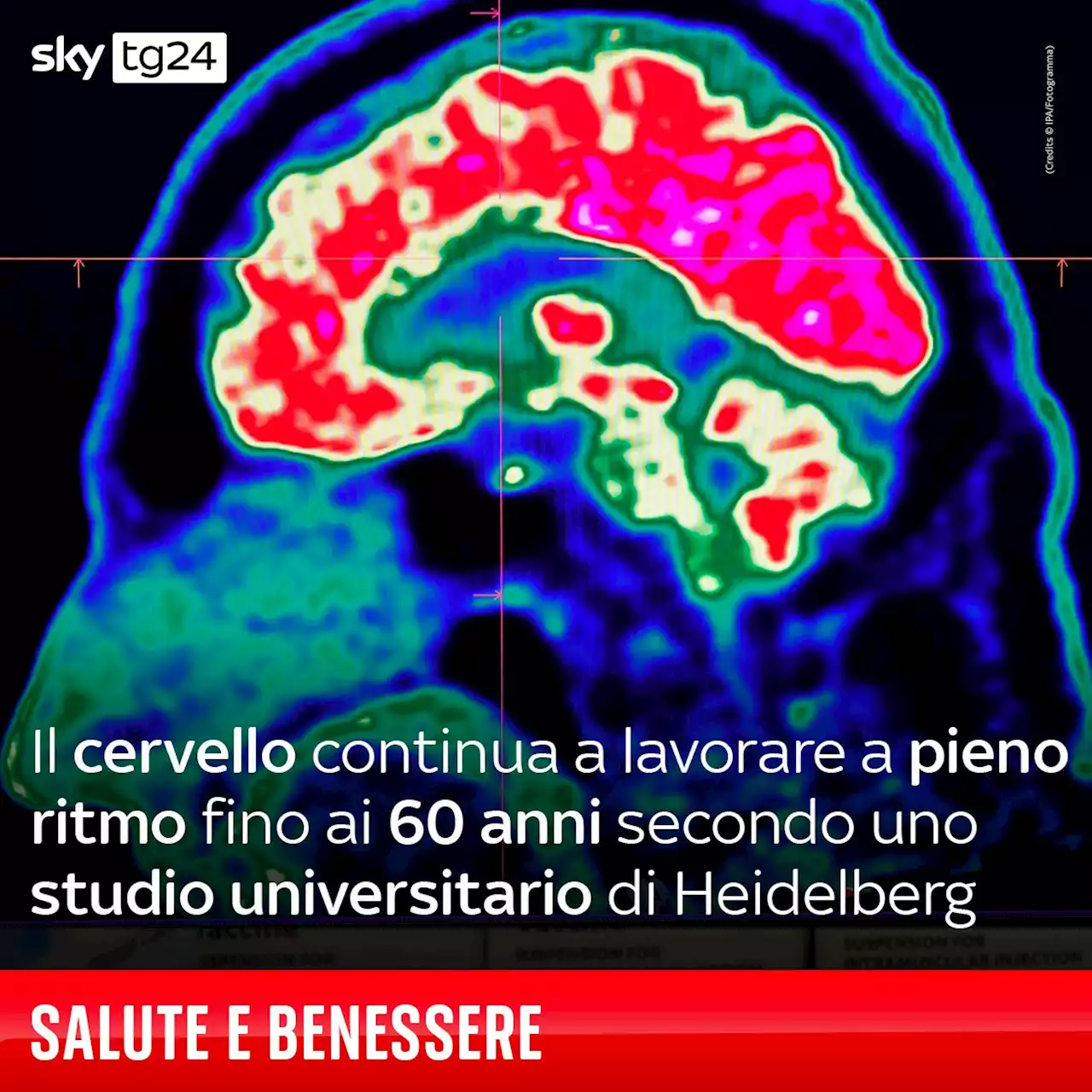 Il cervello continua a lavorare a pieno ritmo fino ai 60 anni