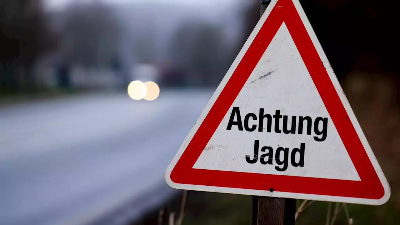 Auf der Jagd: 17-jährige Jägerin erschießt versehentlich 25-jährige Wanderin