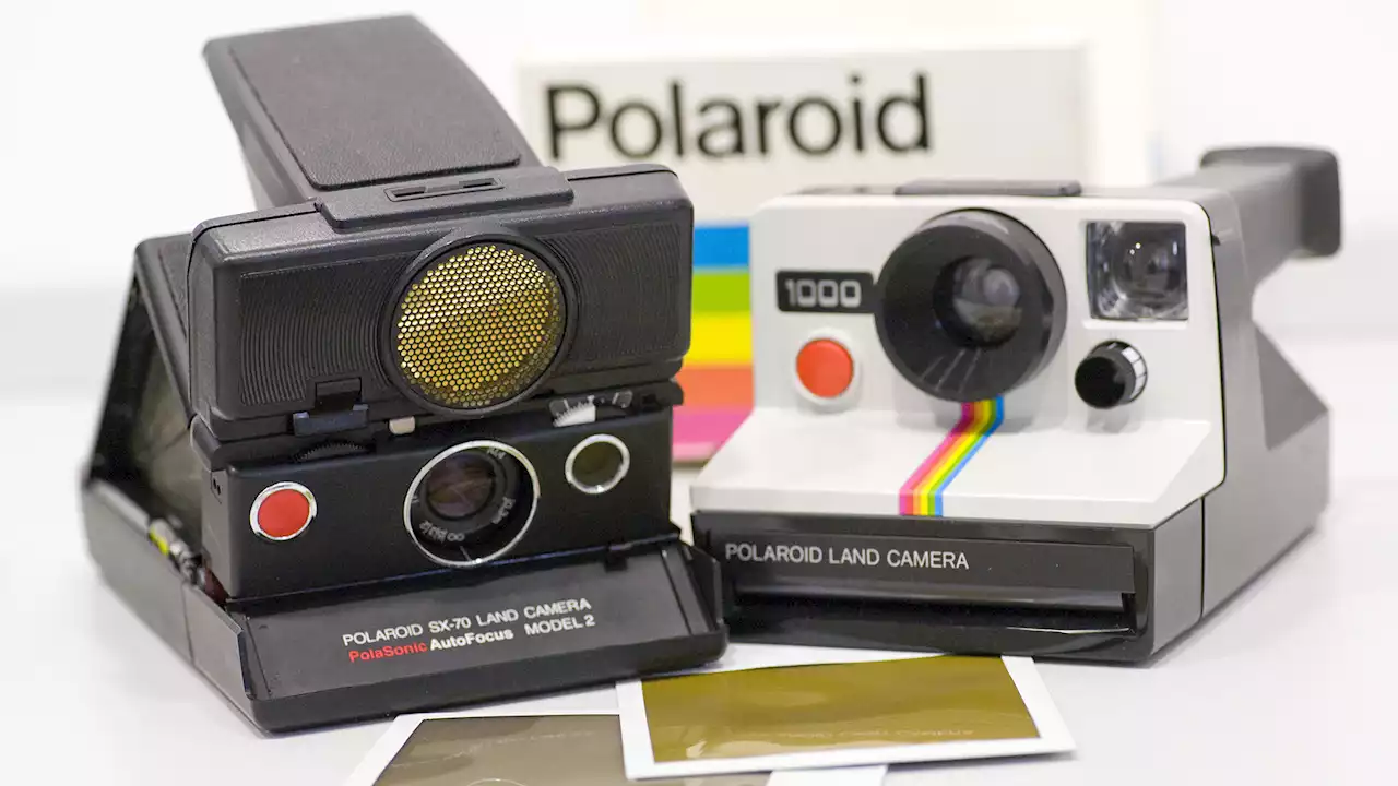 75 Jahre Polaroid: 'Der Spaß entwickelt sich sofort'