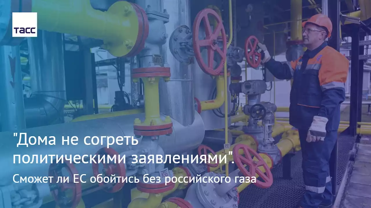 'Дома не согреть политическими заявлениями'. Сможет ли ЕС обойтись без российского газа