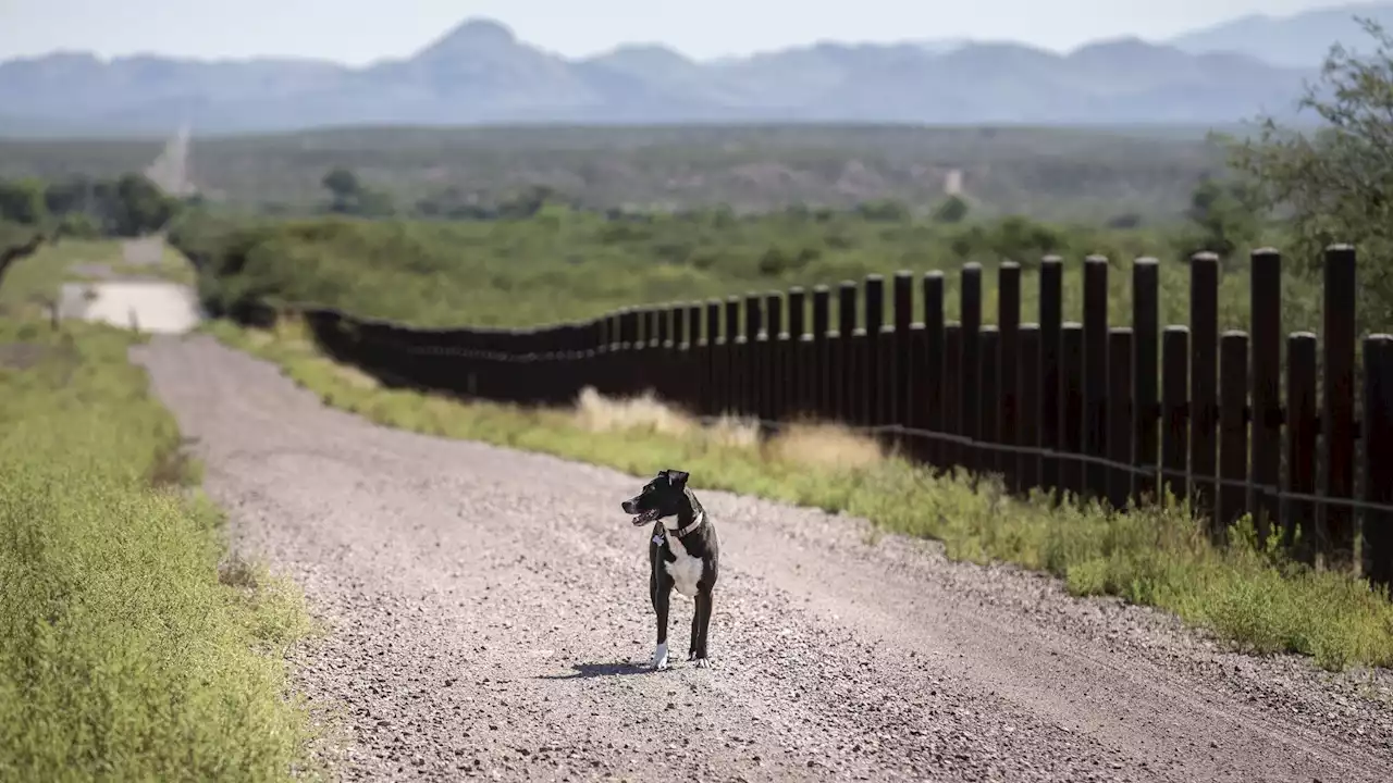 Arizona Border Patrol agent 'involved' in death of migrant