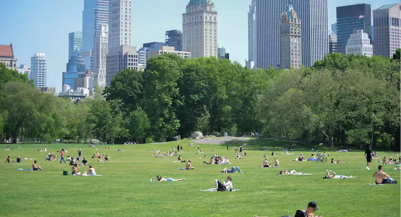 Central Park to launch an open-air laboratory for studying climate change