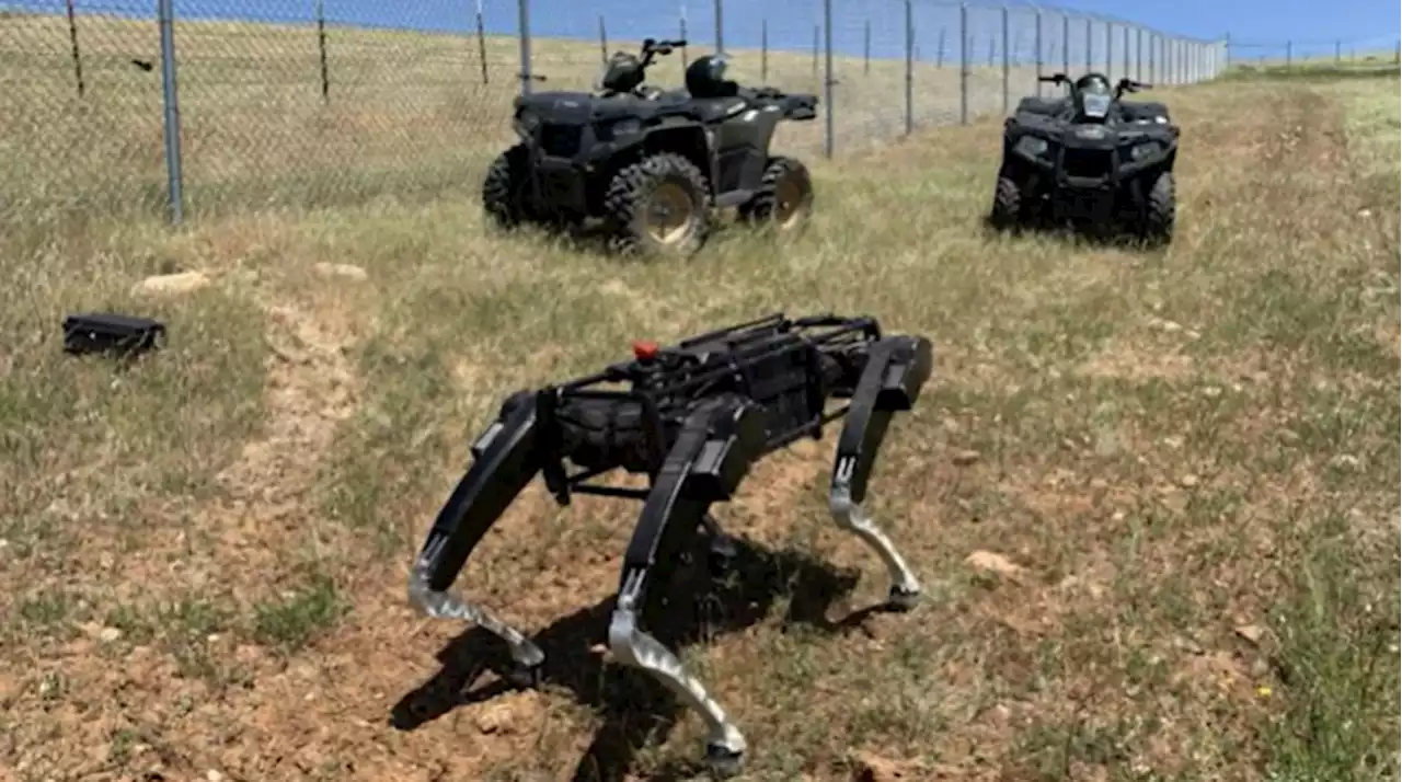 Robot dogs could soon patrol US-Mexico border