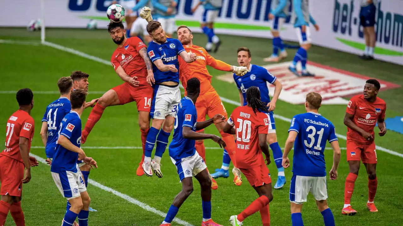 Bundesliga: Darum hasst Hertha Schalke, Schalke aber nicht Hertha!