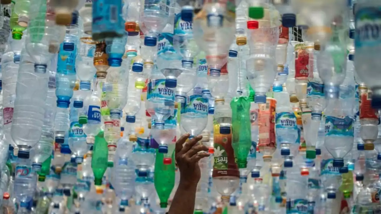 Only 9% of plastic recycled worldwide: OECD