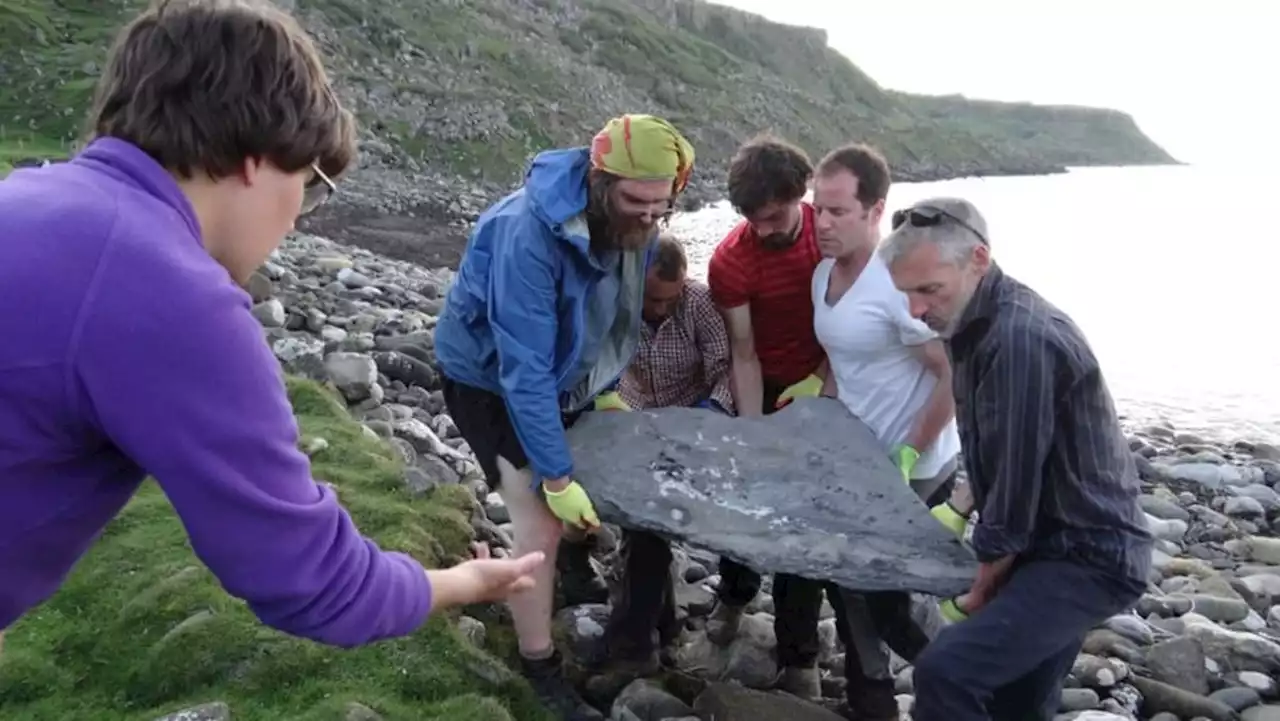 Scottish fossil of flying reptile leaves scientists 'gobsmacked'