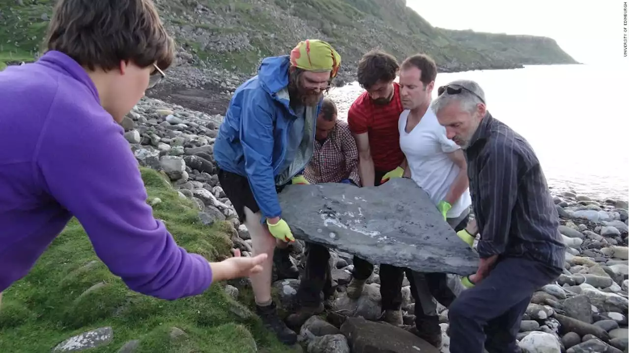 'Exceedingly rare' fossil of giant flying reptile discovered on Scottish island