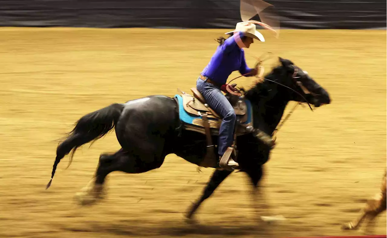 Ladies Breakaway Roping growing as crowd favorite in San Antonio