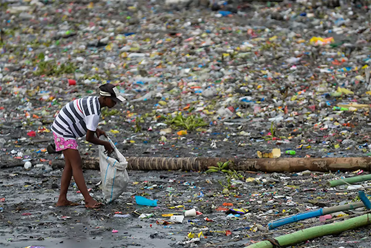 75% of people want single-use plastics banned, global survey finds