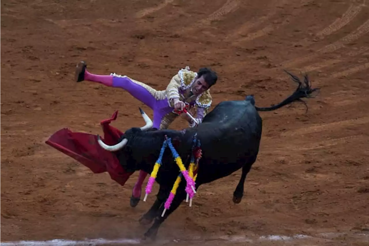 Mexico City legislature may ban bullfighting