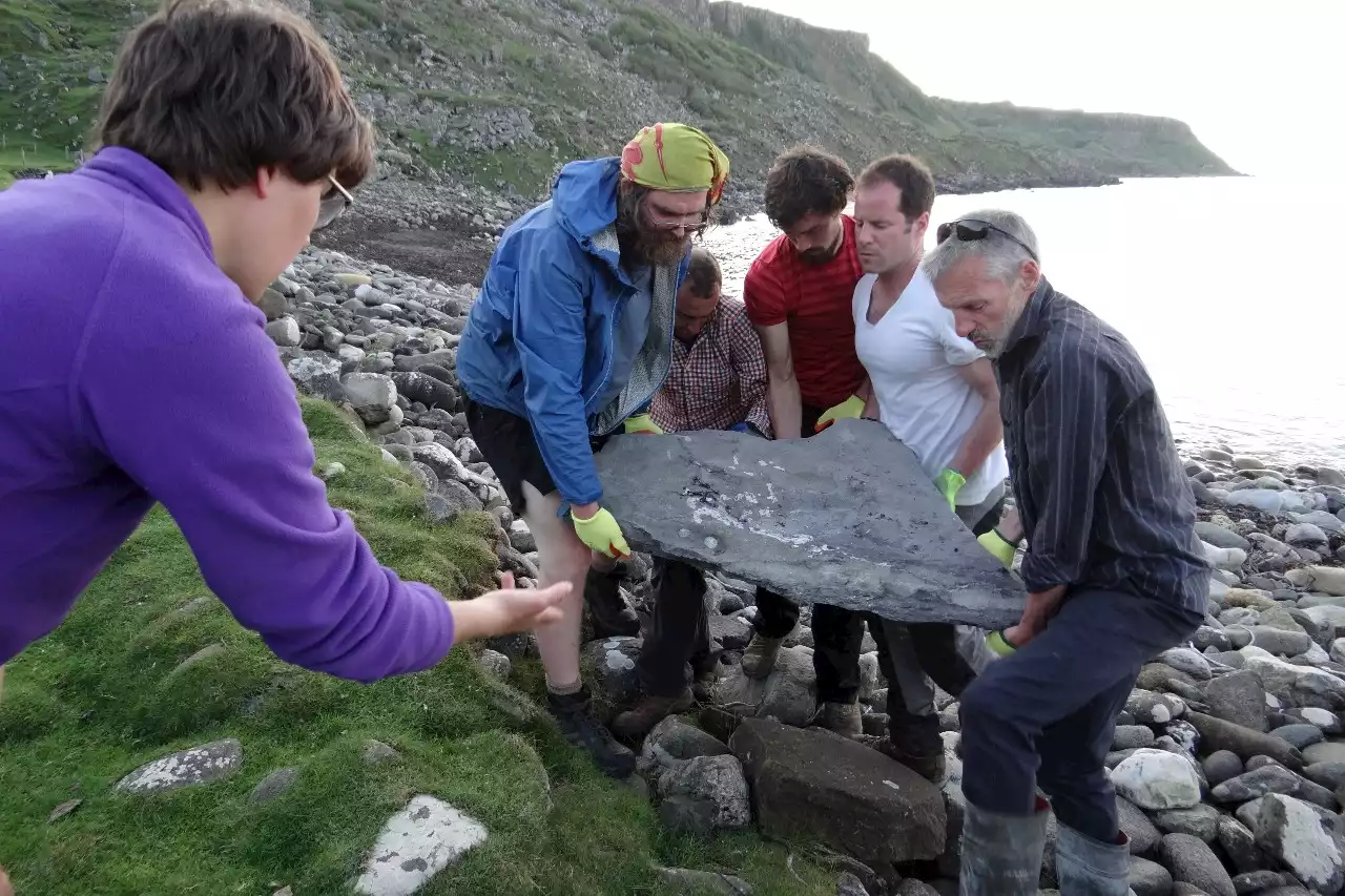 Rare fossil of flying reptile discovered in Scotland, leaves scientists ‘gobsmacked’