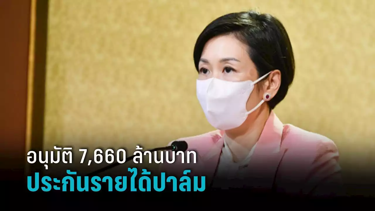 ครม.อนุมัติ 7,660 ล้าน ประกันรายได้ชาวสวนปาล์มน้ำมันปี 64–65