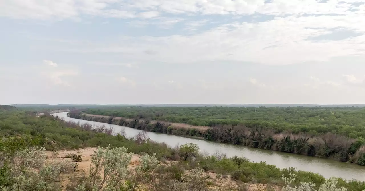 Feds seek to protect rare Texas plant in the path of border wall construction