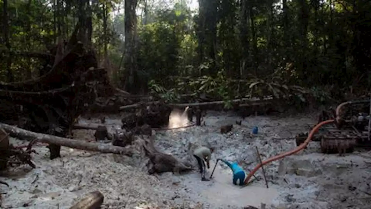 Mining firms ‘illegally’ targeting indigenous lands in Brazil