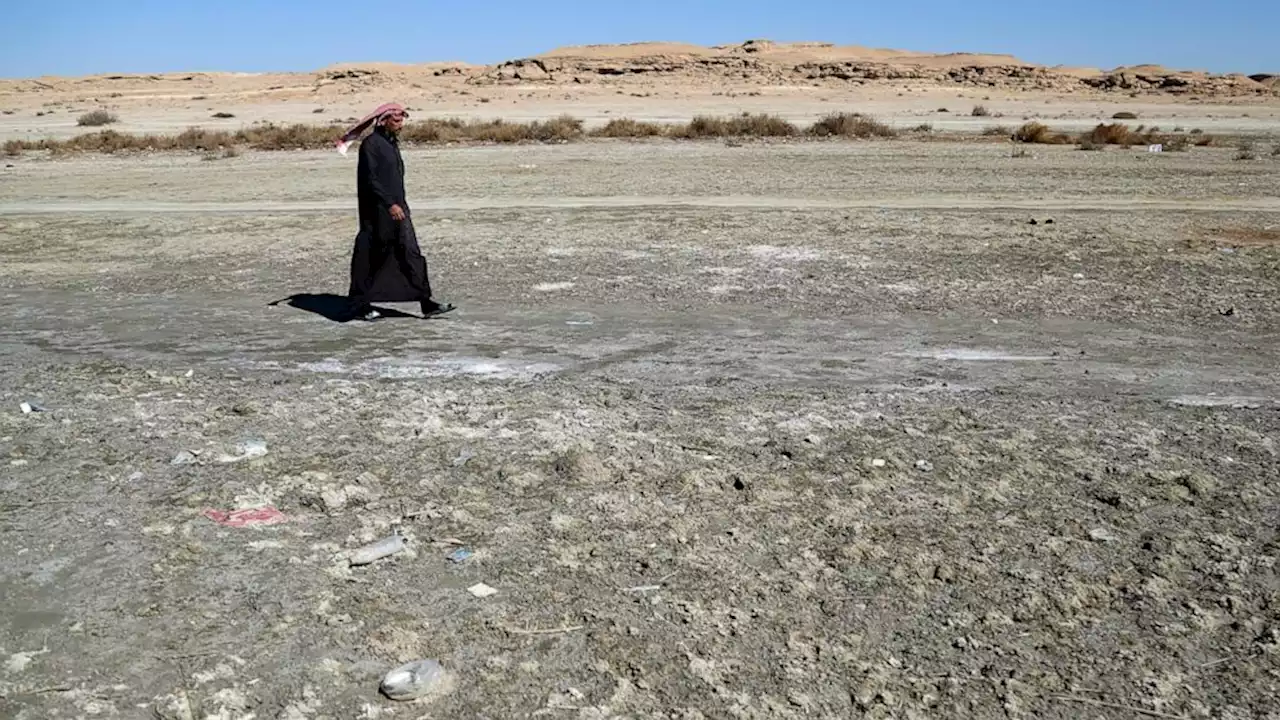 Iraq’s second largest lake drying up, turning up dead fish