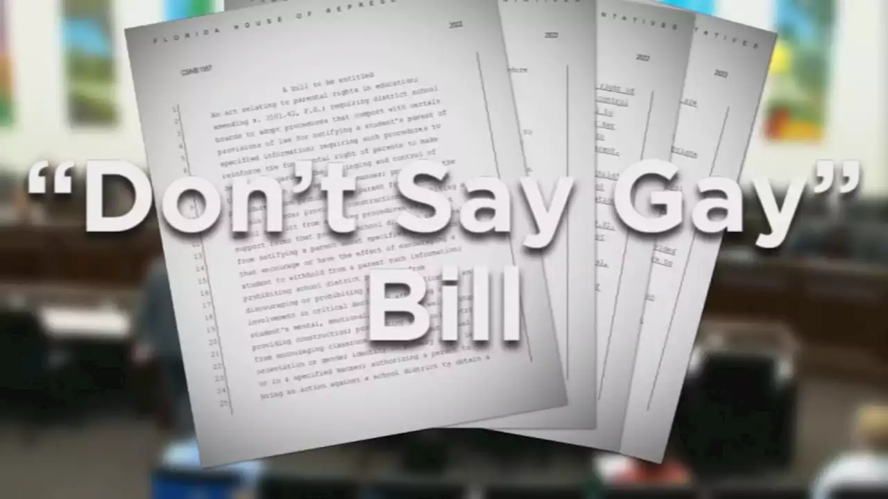 Florida House to vote on amendment opponents say would out LGBTQ students to unaccepting parents