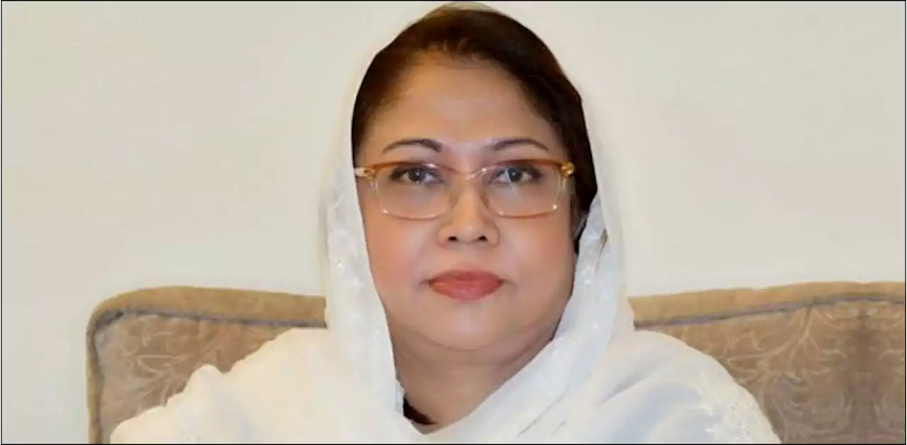 پی پی رہنما فریال تالپور کی نااہلی کی درخواست پر سماعت
