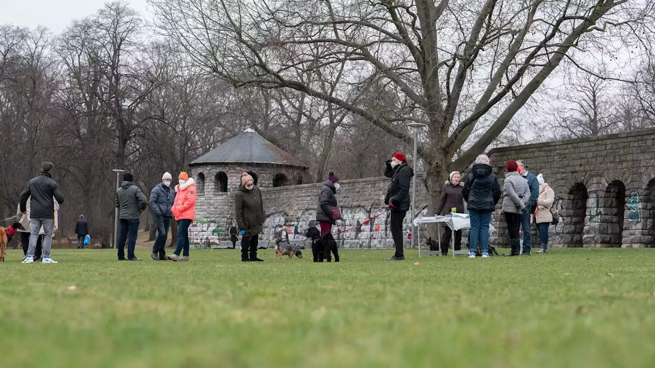 Hunde-Demo vor dem Berliner Abgeordnetenhaus