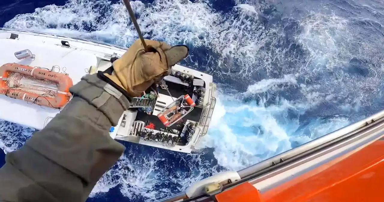 Dramatic video shows U.S. Coast Guard helicopter crew rescuing shark bite victim near Bahamas: 'Truly terrifying situation'