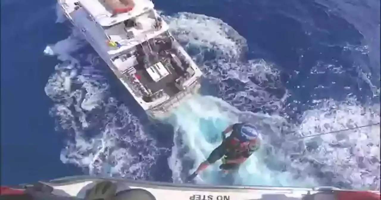 US Coast Guard rescues man bitten by shark