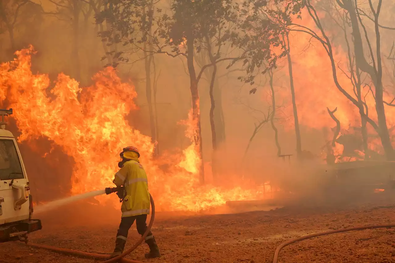 UN: More Wildfires Will Scorch The Planet In Coming Decades And Nations Are Not Prepared