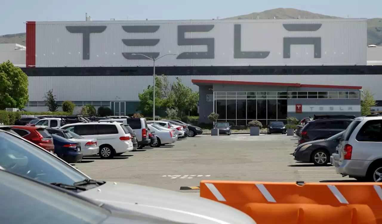 Former Tesla employee suing company over firing, racial discrimination