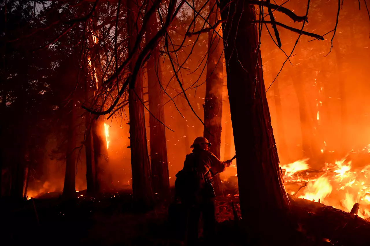 UN Report: Wildfires Getting Worse Globally, Governments Unprepared