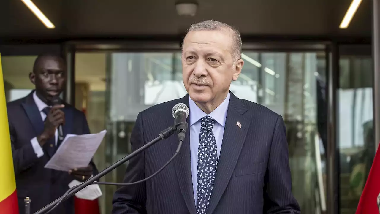 Erdogan ätzt gegen Scholz und Macron