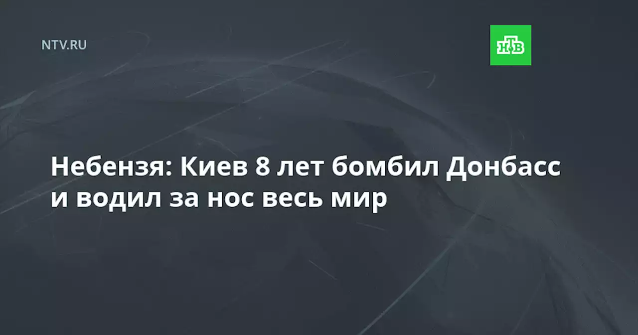 Небензя: Киев 8 лет бомбил Донбасс и водил за нос весь мир