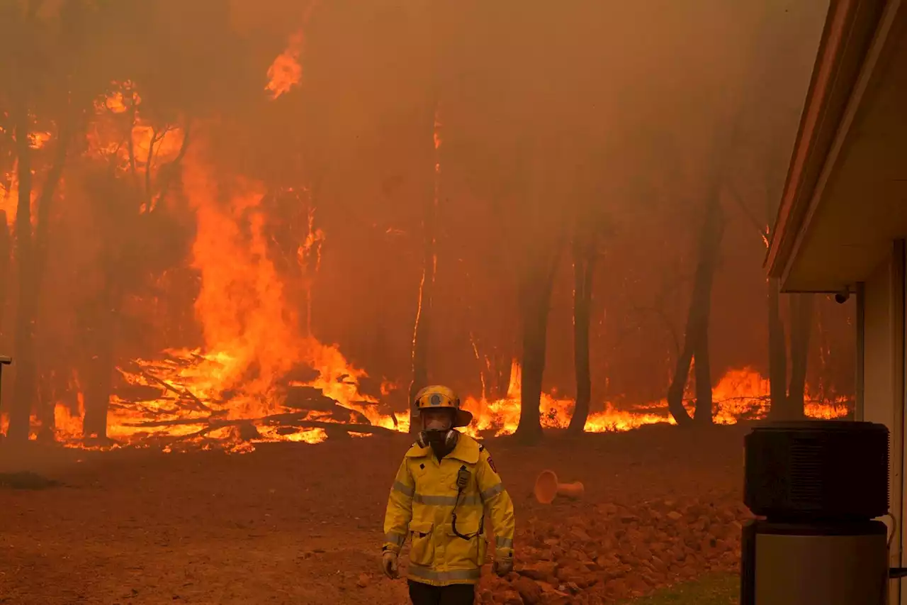 Risk of uncontrollable wildfires will rise and spread globally, United Nations warns