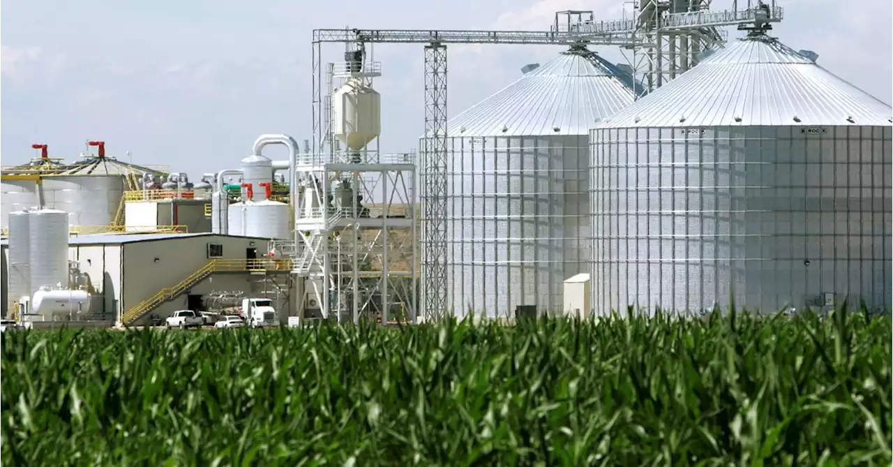 U.S. EPA commits to increasing biofuel use, targets not yet finalized