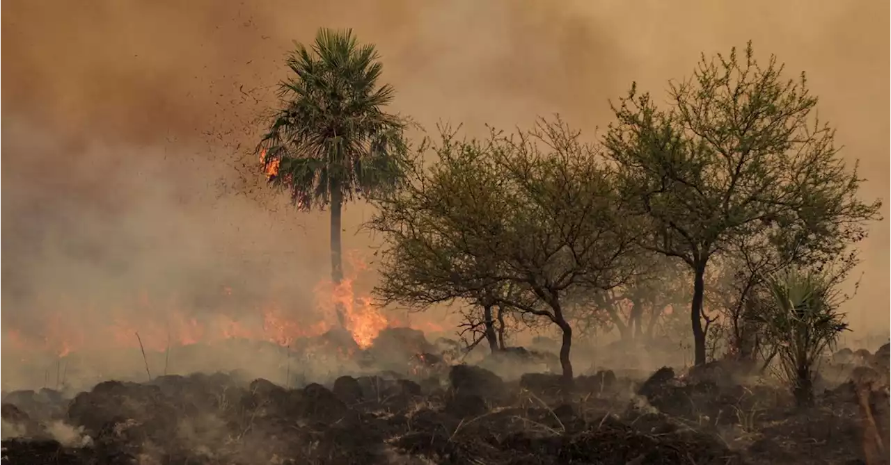 Explainer: 'Catastrophic' wildfire risk is growing. Here's how to cut it