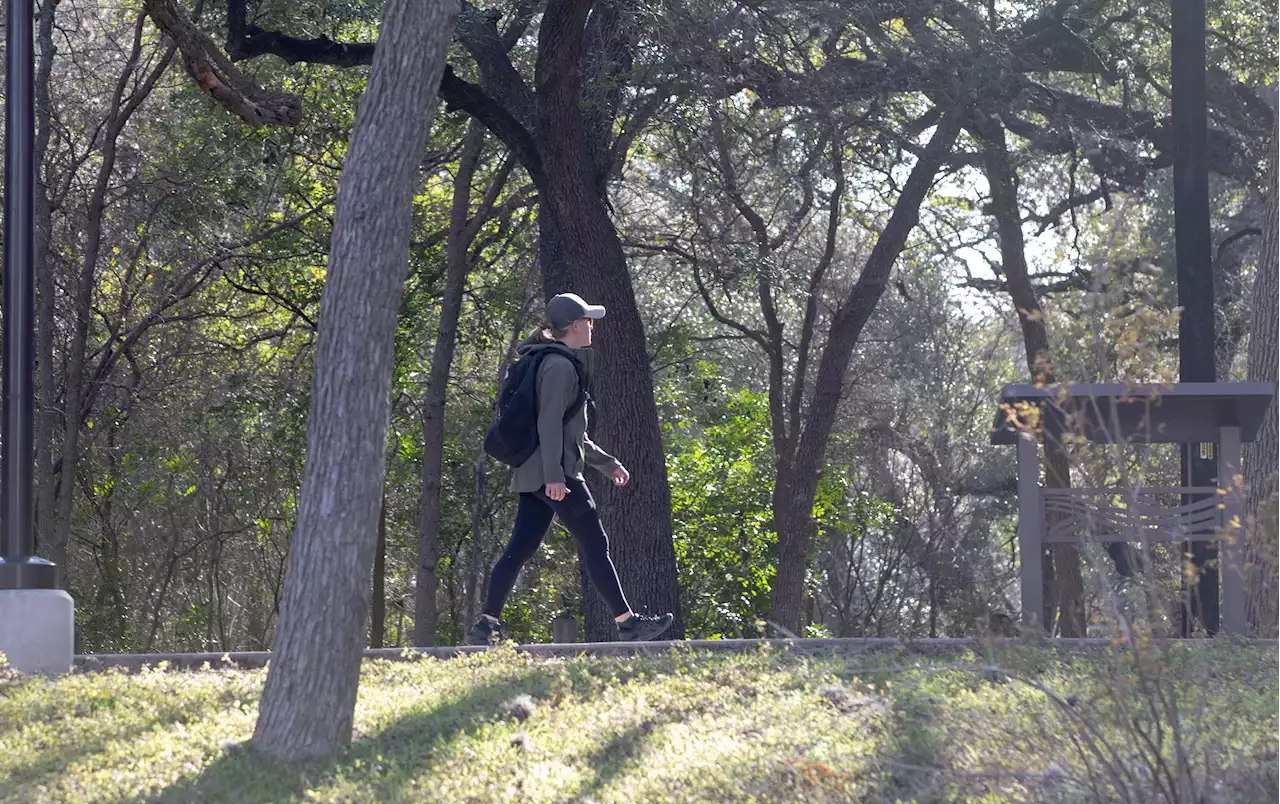 City delays vote on Brackenridge trees, will finish designs first