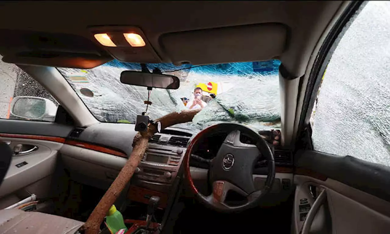 Punggol resident almost impaled by tree that fell on car during thunderstorm