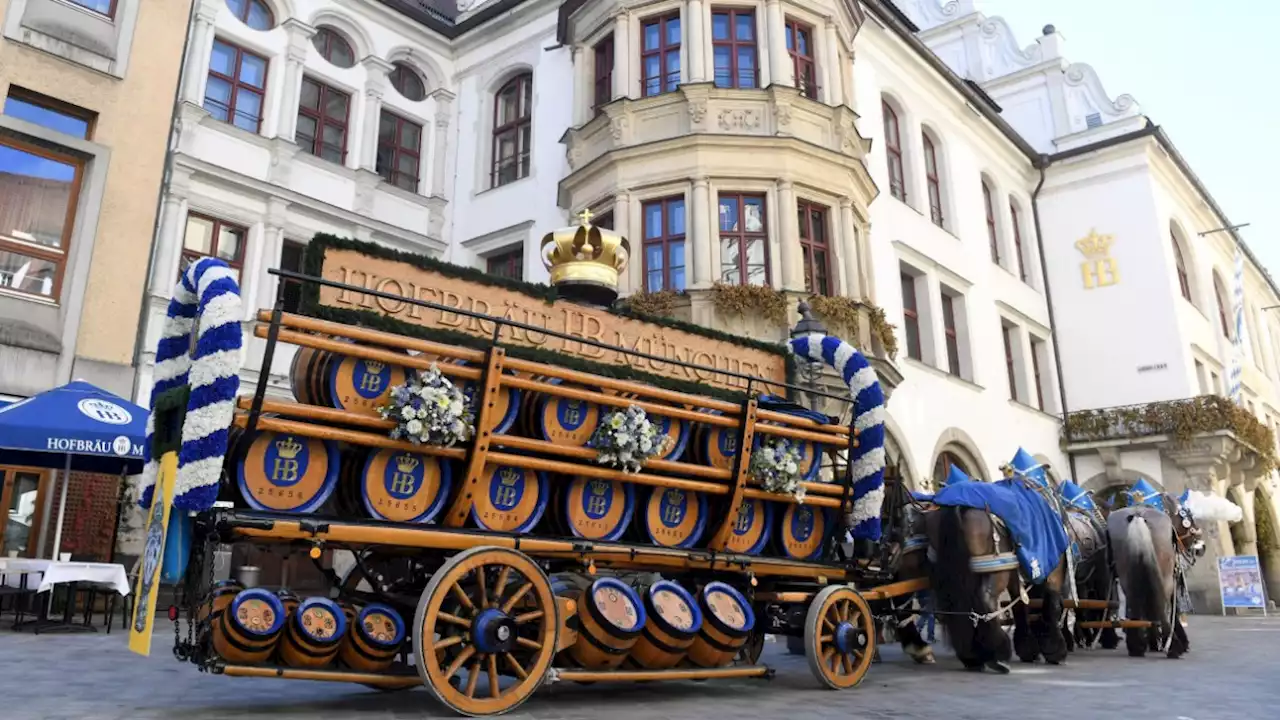 München: Das Dresdner Hofbrauhaus droht im Markenstreit zu unterliegen