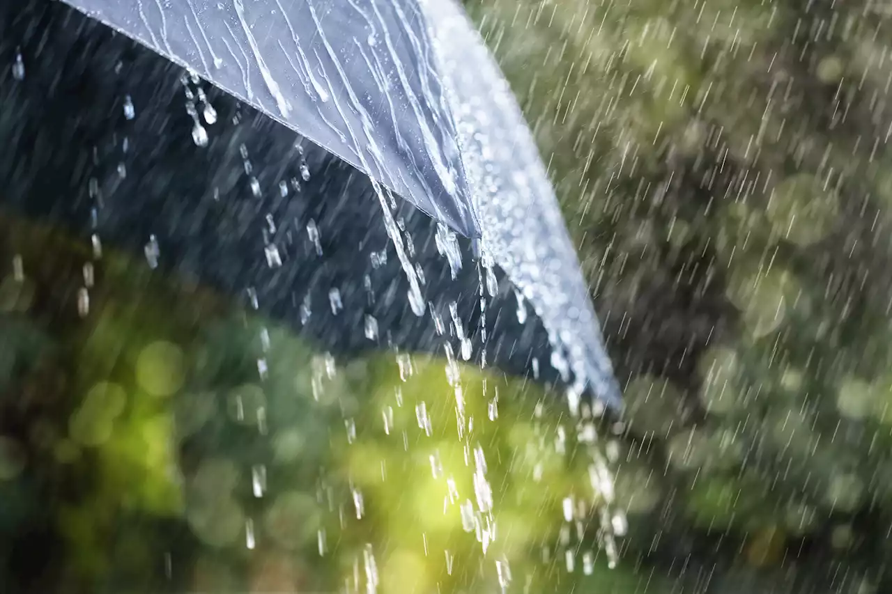 Isolated showers and thundershowers expected in parts of KZN