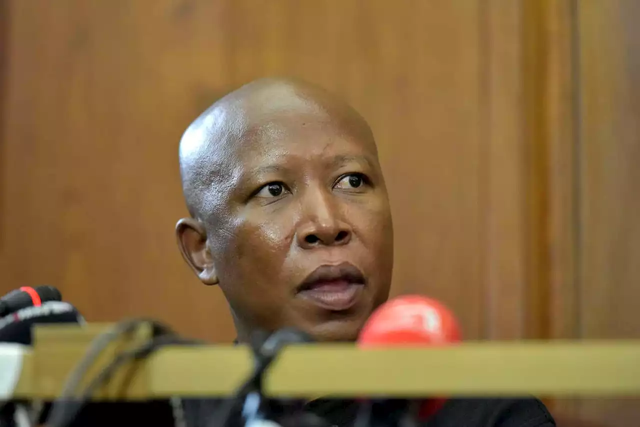 Malema flip-flopping within seconds is downplayed