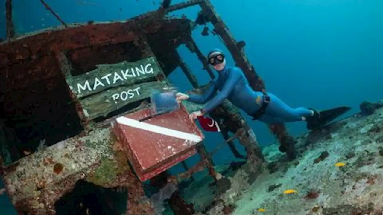 Postcard from under the sea: from diver Sahika Ercumen to the President